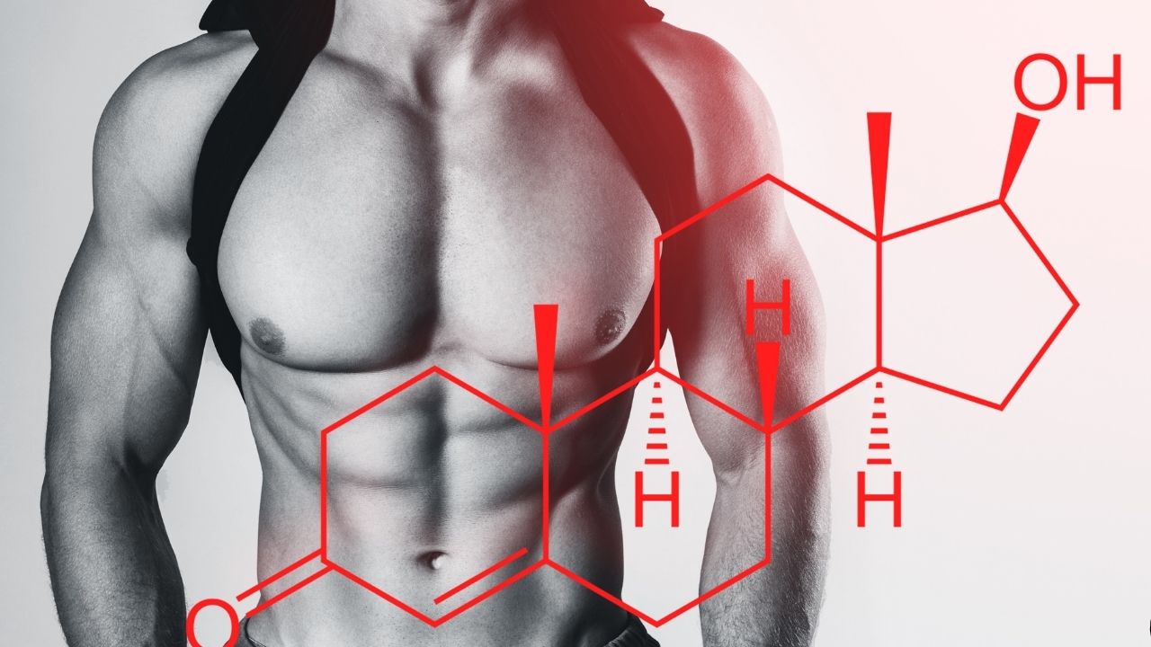 Erkeklik Cinsel Güç Hormonları ve Kontrol Zamanlaması